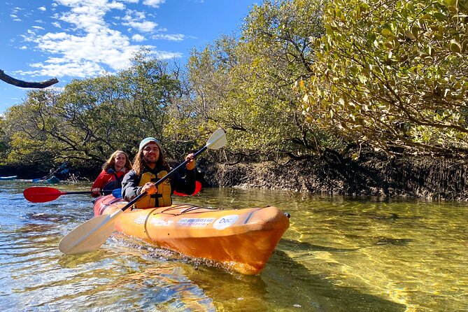 Adelaide Dolphin Sanctuary Mangroves Kayaking Tour - Key things to know before you paddle