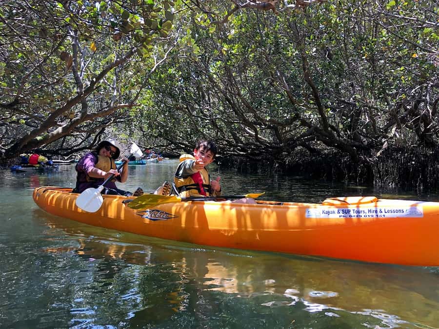 Adelaide: Dolphin Sanctuary Single or Double Kayak Rental - Key points before you paddle