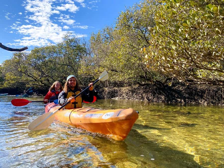 Adelaide: Dolphin Sanctuary Single or Double Kayak Rental - The safety briefing and kayak choice