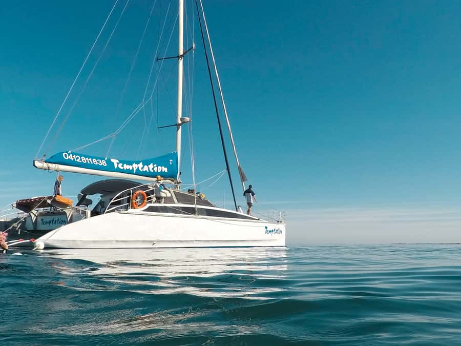 Adelaide: Glenelg Twilight Catamaran Cruise with Drink - The sunset is the main event