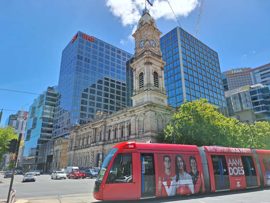 Adelaide: Guided Ultimate Walking Tour with Drink and Snack - Art, education, and the University of Adelaide