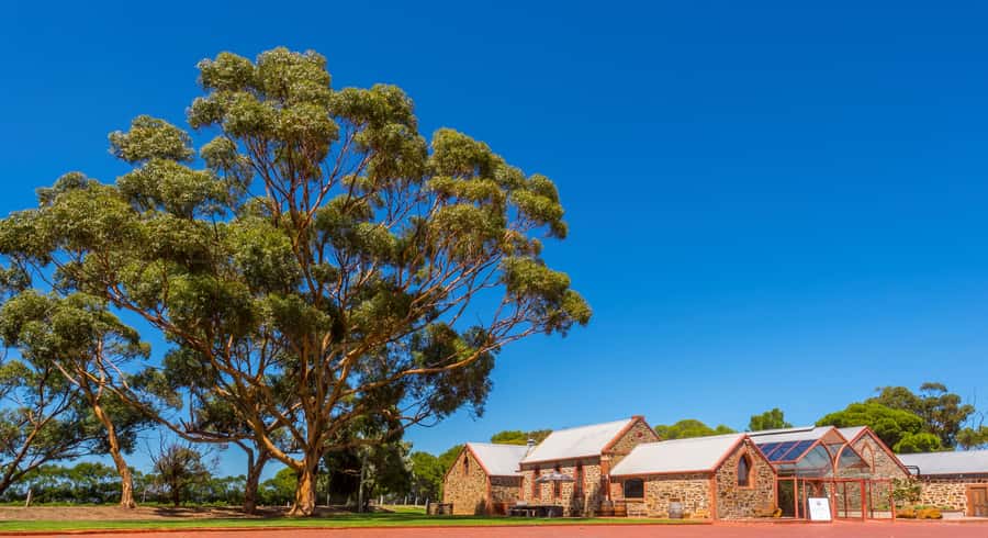 Adelaide: Half-day McLaren Vale & Glenelg Wine Tasting Tour - Why this half-day format works