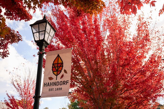 Adelaide Highlights, Hahndorf & McLaren Vale Wine Tasting and Sightseeing Tour - Chapel Hill starts the McLaren Vale tastings