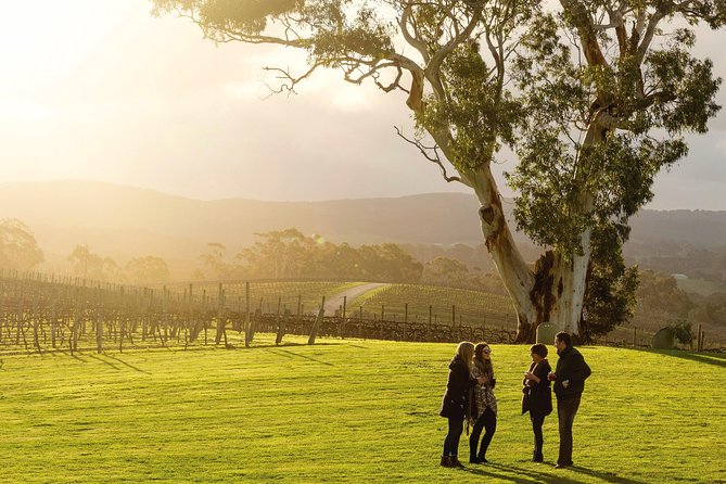Adelaide Hills & Hahndorf Hop-On Hop-Off Wine Tour - Six useful things to know before you go