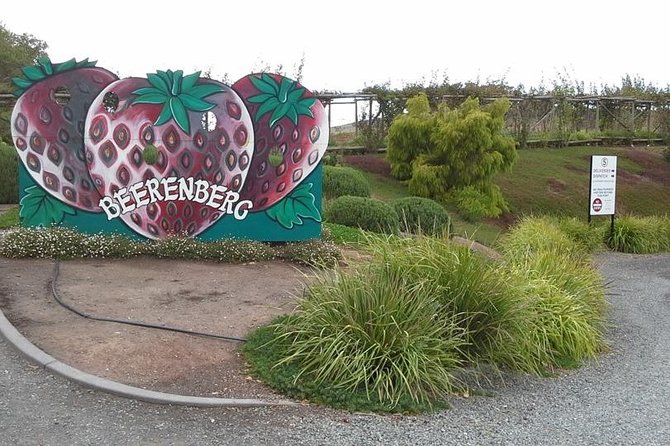 Adelaide Hills Regional / Hahndorf German Village Tour - Nepenthe gives wine fans a full hour