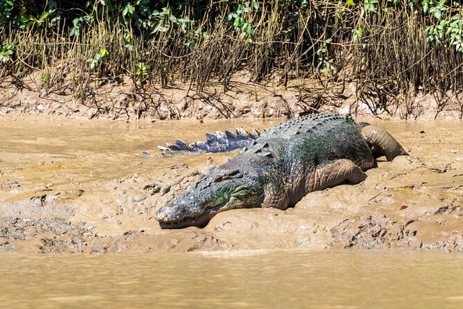 Adelaide River Cruises - Jumping Crocodile Experience - The guides bring the right mix of facts and humour