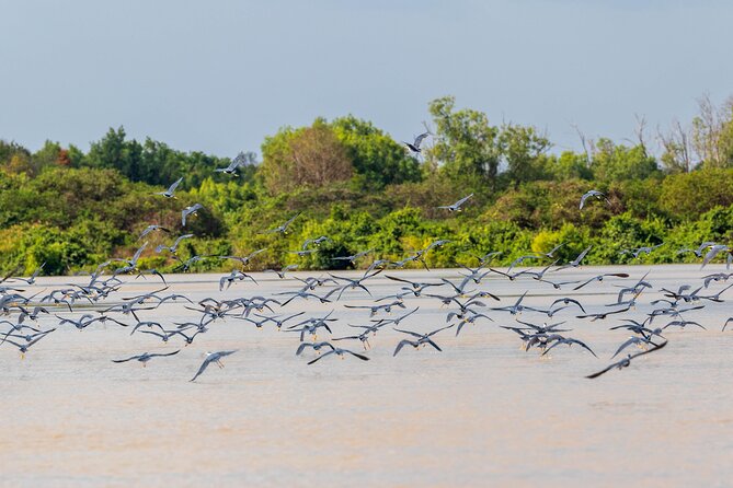 Adelaide River Cruises - Jumping Crocodile Experience - Who will enjoy it most?