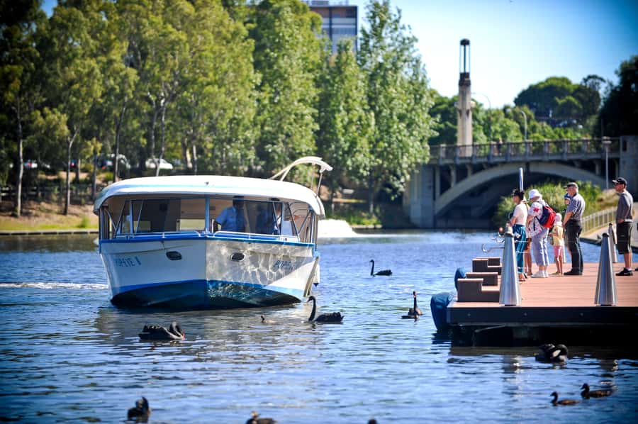 Adelaide: River Torrens Popeye Devonshire Tea Cruise - The First 30 Minutes: Adelaide Sights and Local Stories