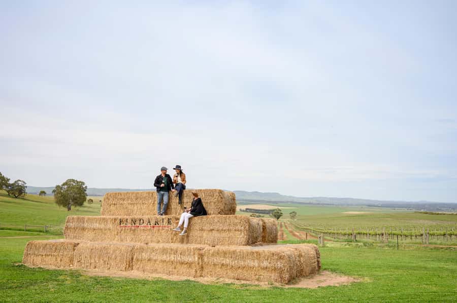 Adelaide: Small Group Tour of Barossa, Wineries with Lunch - Why this Barossa day trip works