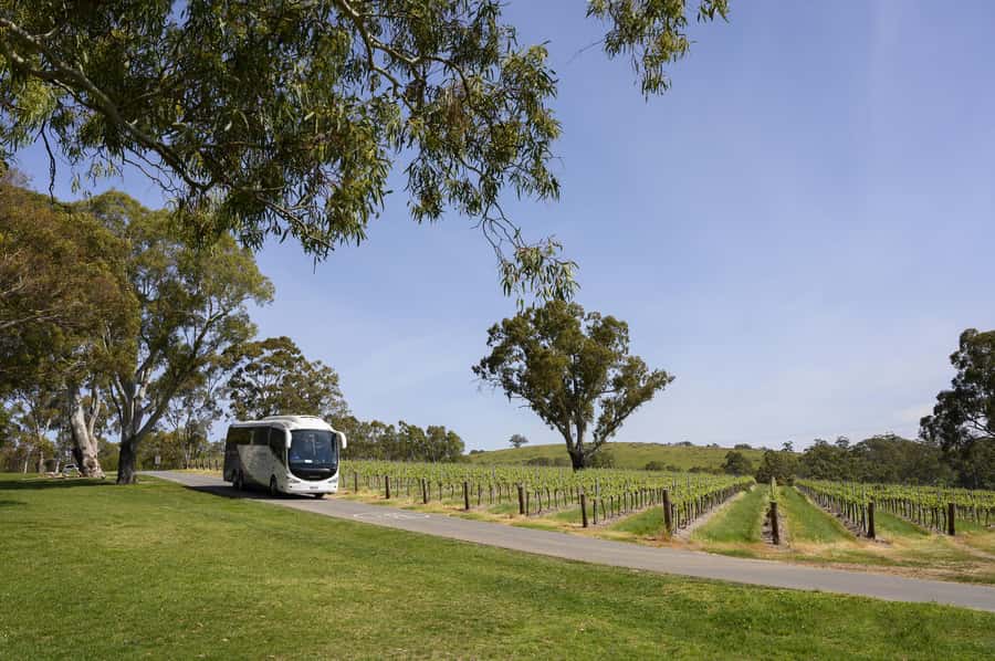 Adelaide: Small Group Tour of Barossa, Wineries with Lunch - Chateau Tanunda and more than 130 years of winemaking