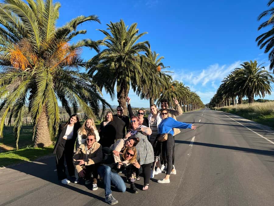 Adelaide: South Australia Guided Full-Day Highlights Tour - Hahndorf, where an hour goes quickly