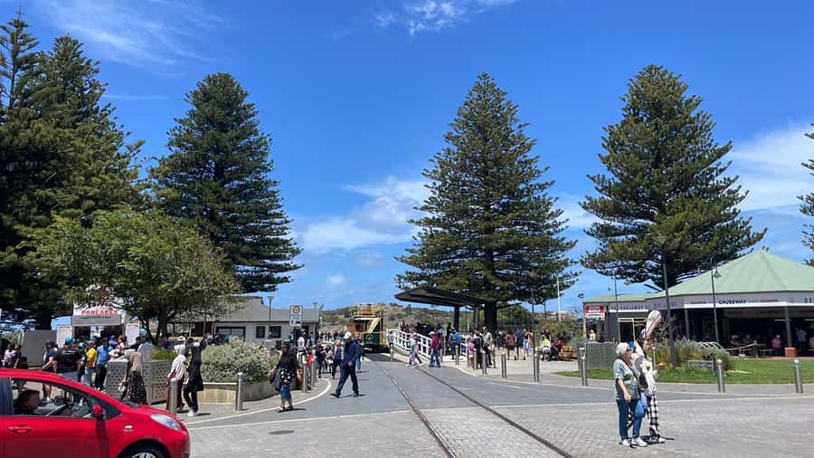 Adelaide: South Australia Guided Full-Day Highlights Tour - Who should book this day out?