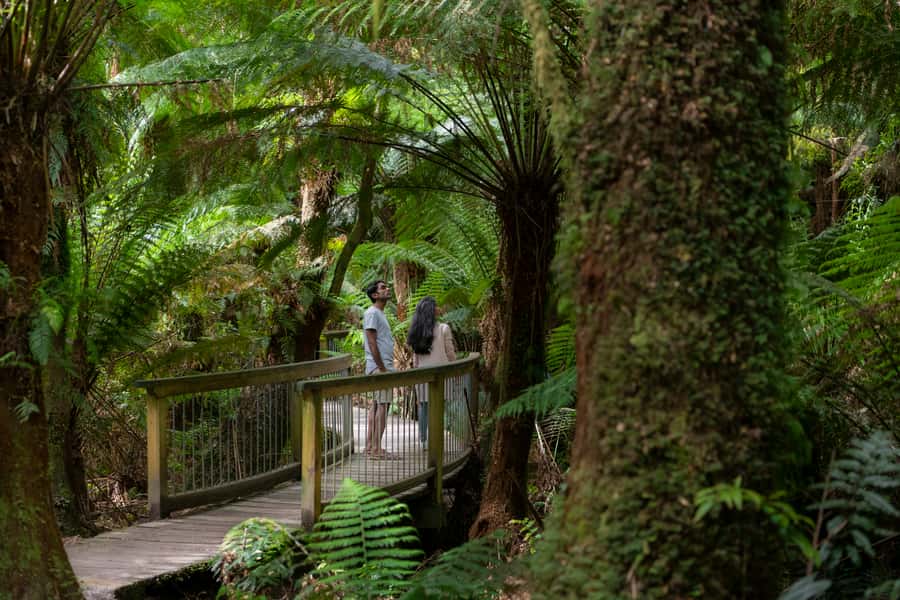 Adelaide to Melbourne: 3-Day Ultimate Overland Journey - Guides and the small-group feel