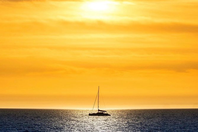 Adelaide Twilight Cruise from Glenelg - Key points at a glance