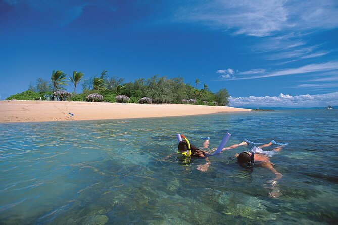 Afternoon Low Isles Snorkelling & Sunset Sail from Port Douglas - A useful option for non-swimmers