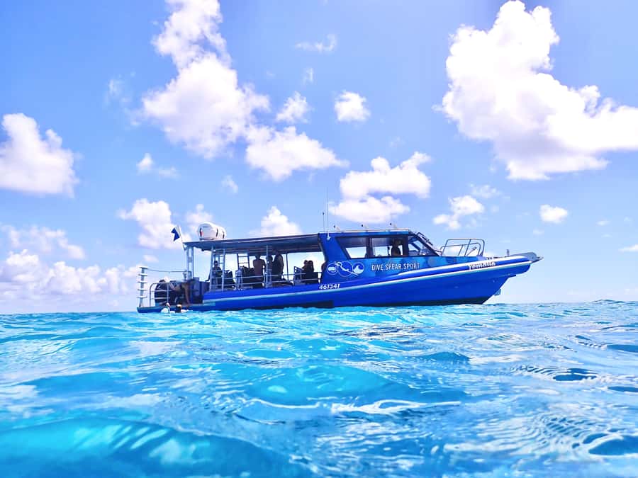 Agnes/1770: Southern Great Barrier Reef Snorkelling Day Trip - Key points at a glance