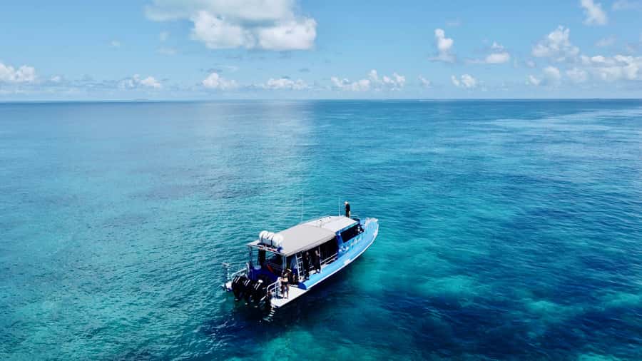 Agnes/1770: Southern Great Barrier Reef Snorkelling Day Trip - A small group makes the reef easier to enjoy