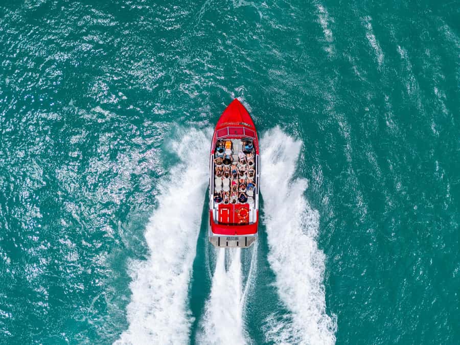 Airlie Beach: 30-Minute Jet Boat Ride - Why this short ride works so well
