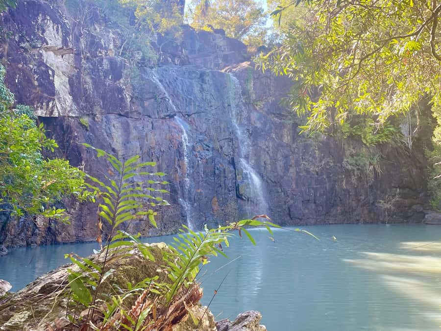 Airlie Beach: Cedar Creek Express Eco Tour - What happens when the waterfall is dry