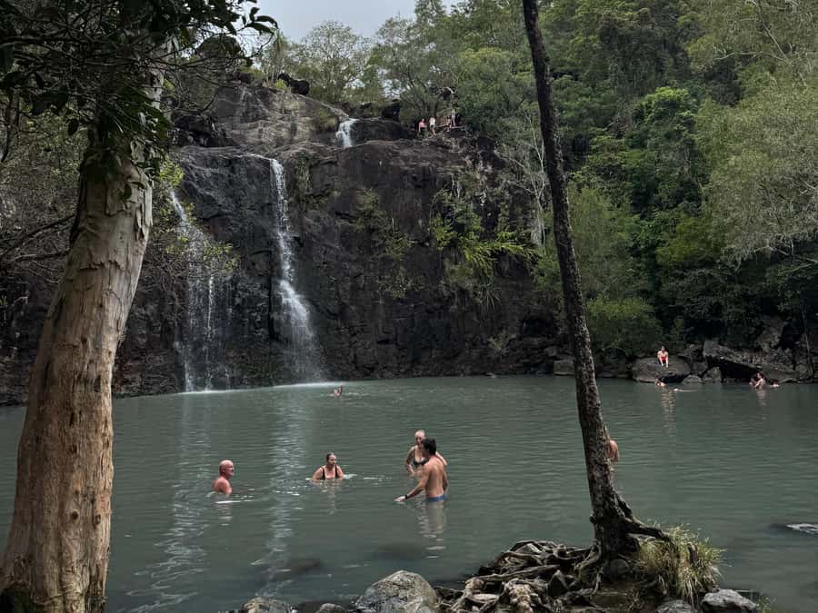 Airlie Beach: Cedar Creek Express Eco Tour - Who will enjoy this tour most