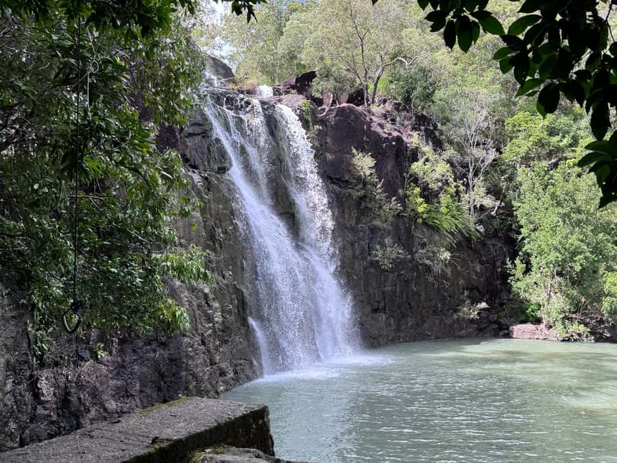 Airlie Beach: Cedar Creek Express Eco Tour - Practical advice for a smoother visit