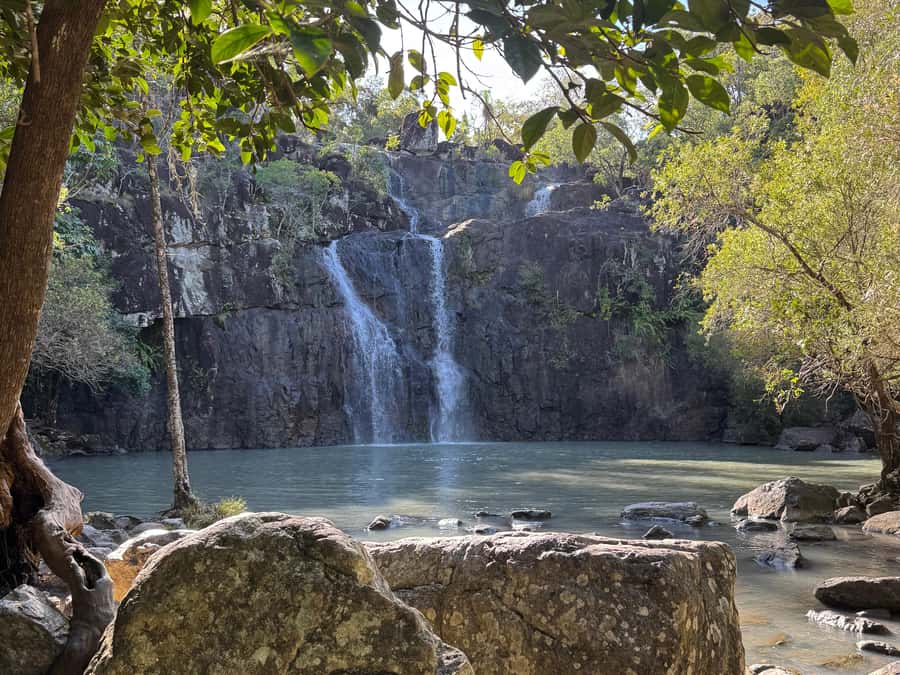 Airlie Beach: Cedar Creek Express Eco Tour - From Airlie Beach to the tropical hinterland
