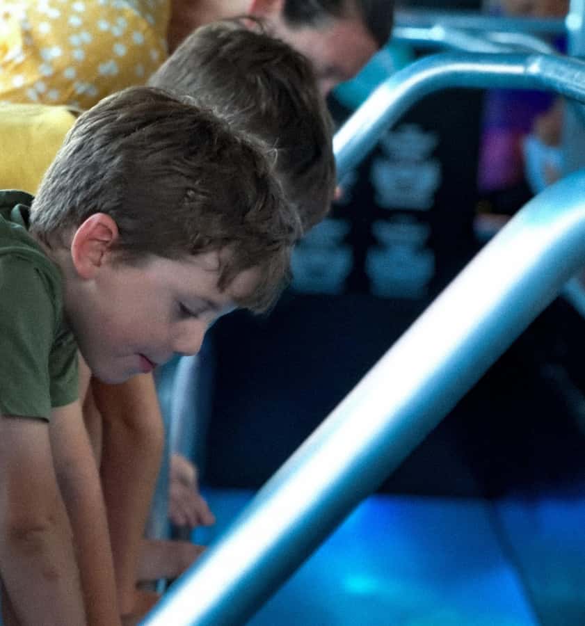 Airlie Beach: Glass-Bottom Boat Night Tour - Underwater blue lights reveal a different reef
