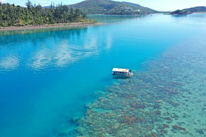 Airlie Beach Glass Bottom Boat Tour - Key points before you book