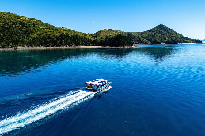 Airlie Beach Glass Bottom Boat Tour - Why weather and tides matter so much