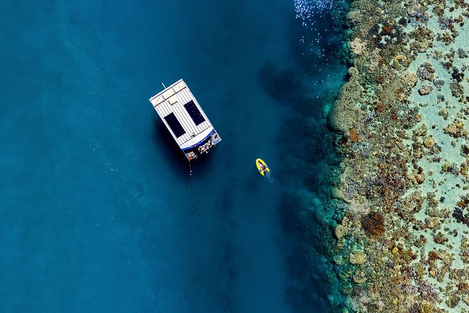 Airlie Beach Glass Bottom Boat Tour - Commentary that adds value to the ride