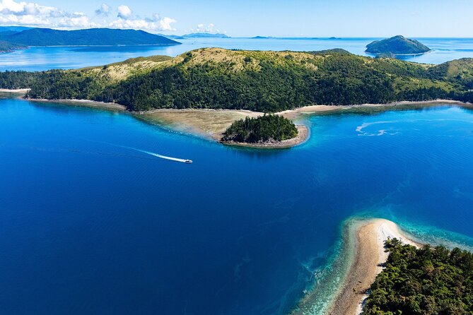Airlie Beach Glass Bottom Boat Tour - Who will get the most from this experience?