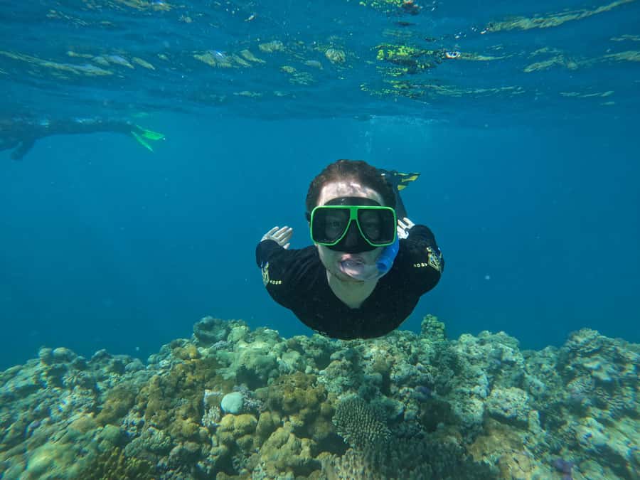 Airlie Beach: Great Barrier Reef & Whitehaven Beach Tour - Practical booking advice for the $225 price