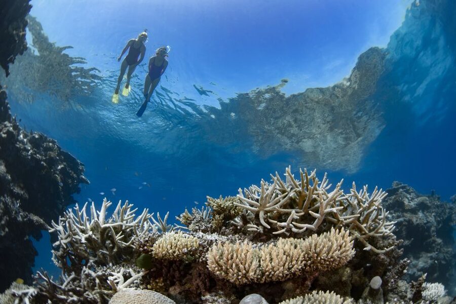 Airlie Beach: Great Barrier Reef & Whitehaven Beach Tour - Whitehaven Beach is more than a photo stop