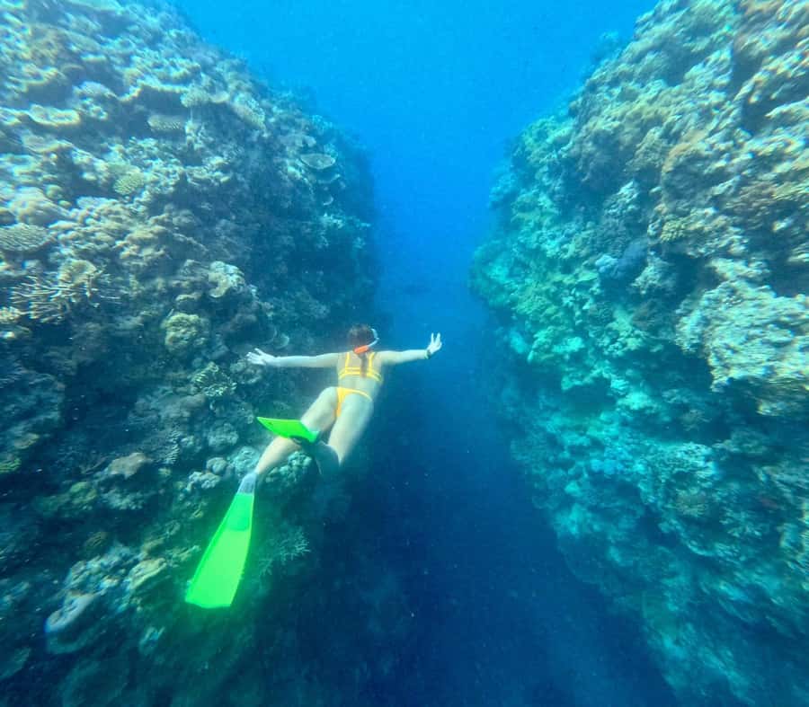 Airlie Beach: Great Barrier Reef & Whitehaven Beach Tour - Who should choose this Airlie Beach tour?