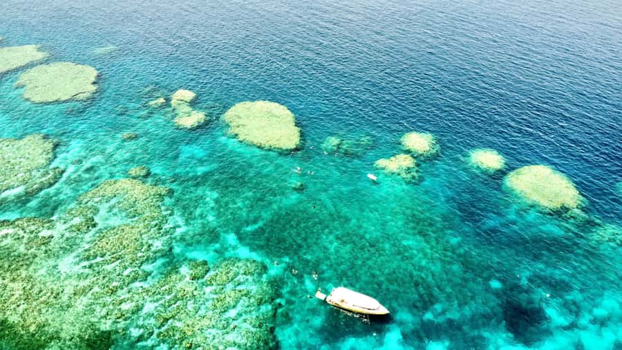Airlie Beach: Great Barrier Reef & Whitehaven Beach Tour - The jetboat ride is part of the attraction