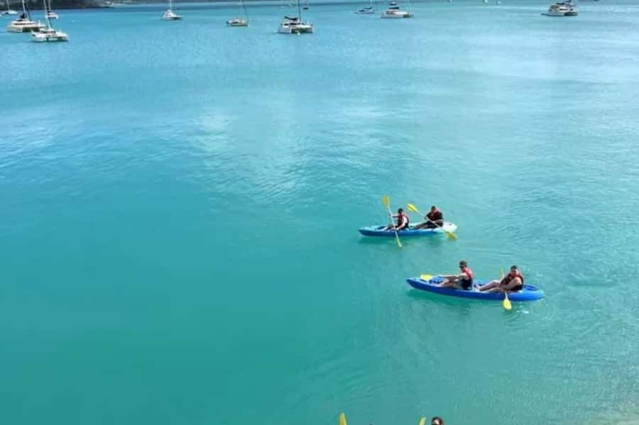 Airlie Beach: Half Day Turtle Tour Sea Kayaking Adventure - Five things to know before you paddle
