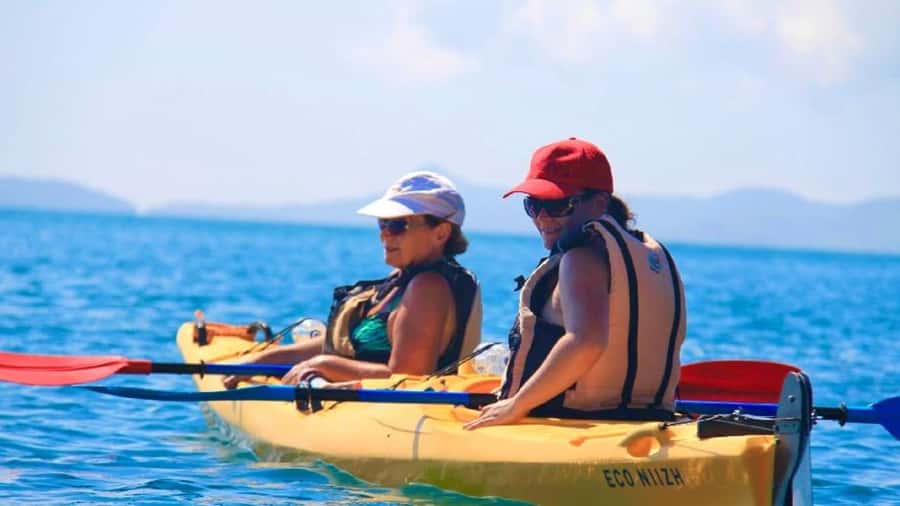 Airlie Beach: Half Day Turtle Tour Sea Kayaking Adventure - Starting at Shingley Beach