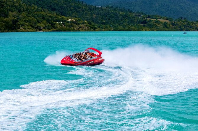 Airlie Beach Jet Boat Thrill Ride - Wildlife and views, with realistic expectations