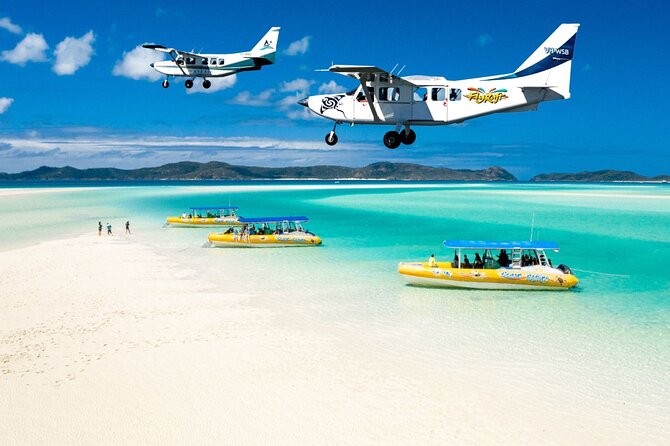 Airlie Beach Jet Ski Safari (1 Hour) - Wildlife sightings are possible, not promised