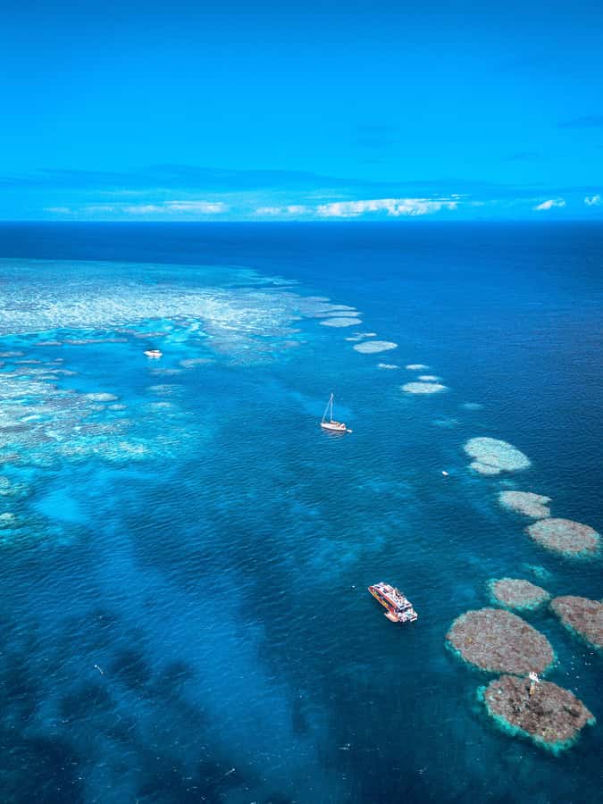 Airlie Beach: Outer Great Barrier Reef Snorkeling Day Trip - Lunch, snacks, and a second chance in the water