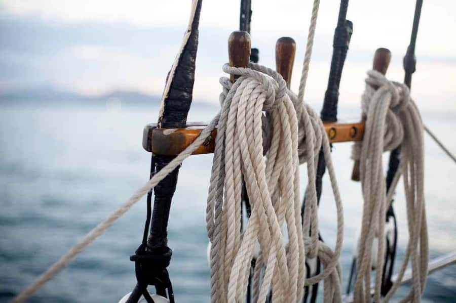 Airlie Beach: Providence Whitsundays Tallship Sunset Sail - Key points to know before booking
