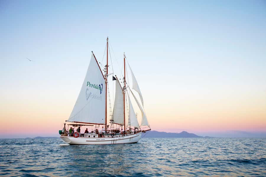 Airlie Beach: Providence Whitsundays Tallship Sunset Sail - Boarding with a welcome drink