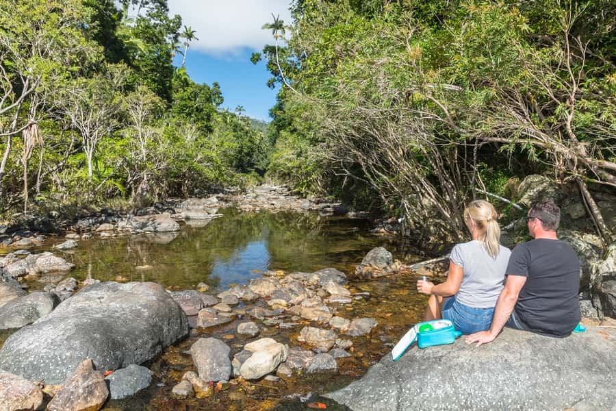 Airlie Beach: Segway Rainforest Discovery Tour - Looking Into a Century-Old Fig Tree
