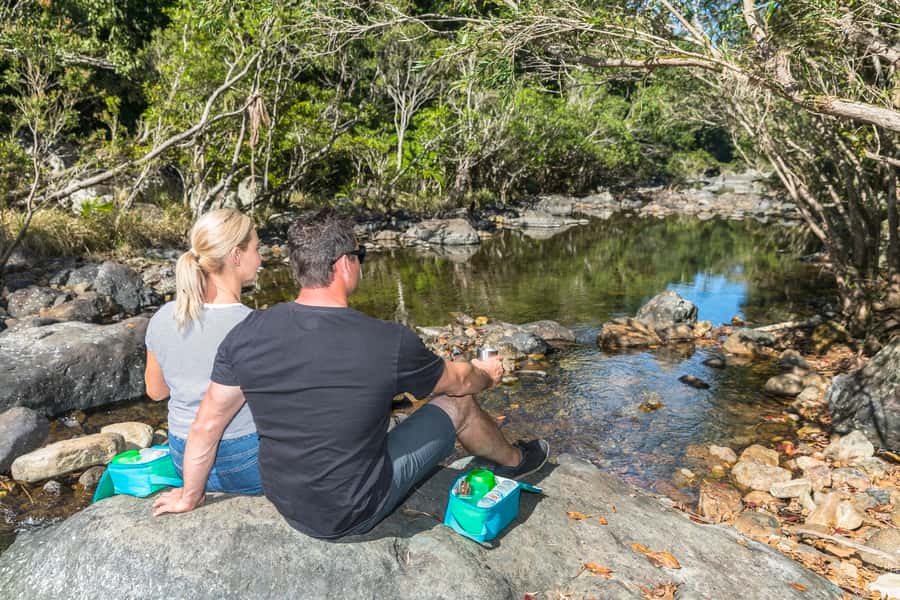 Airlie Beach: Segway Rainforest Discovery Tour - Should You Book the Segway Rainforest Discovery Tour?