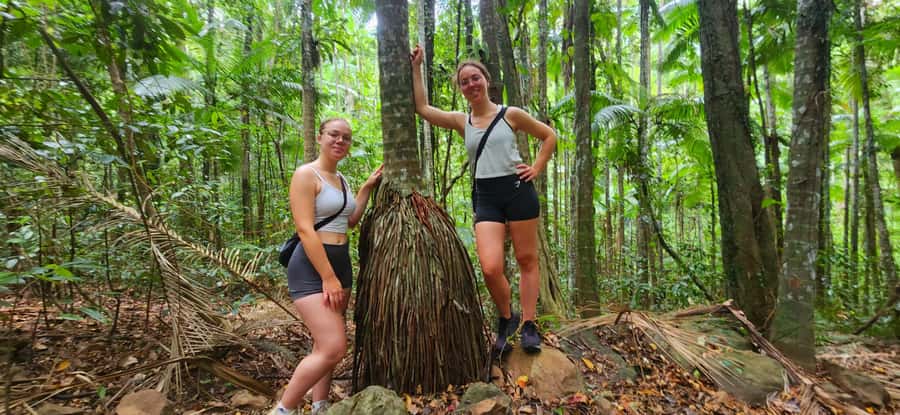 Airlie Beach: Waterfall & Rainforest Bushwalk Eco Adventure - Why this Airlie Beach tour is worth considering