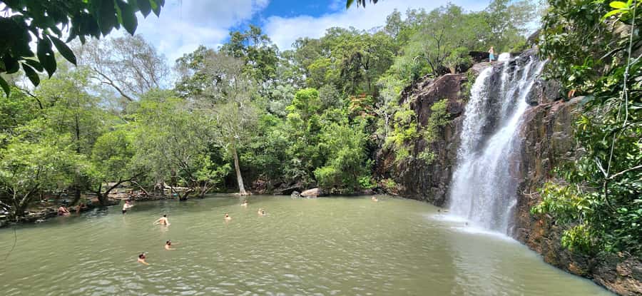 Airlie Beach: Waterfall & Rainforest Bushwalk Eco Adventure - Walking through Conway National Park