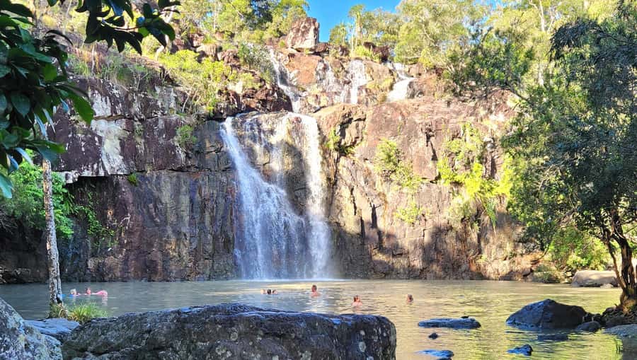 Airlie Beach: Waterfall & Rainforest Bushwalk Eco Adventure - What makes the forest commentary valuable