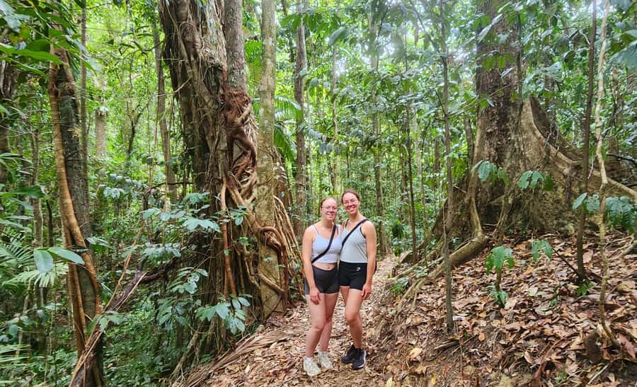 Airlie Beach: Waterfall & Rainforest Bushwalk Eco Adventure - Cooling off at Cedar Creek Falls