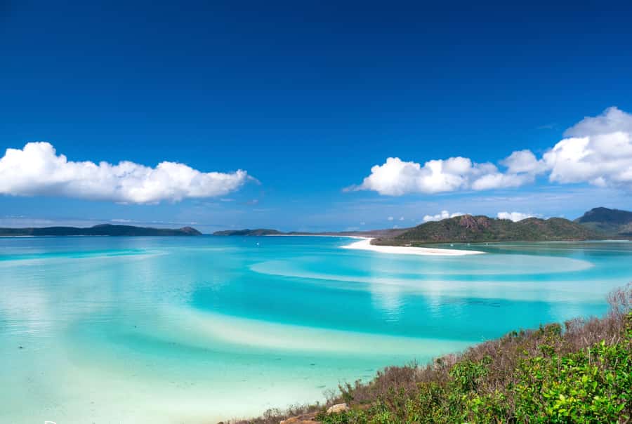 Airlie Beach: Whitehaven Beach Cruise and Hill Inlet - Key points to know before booking