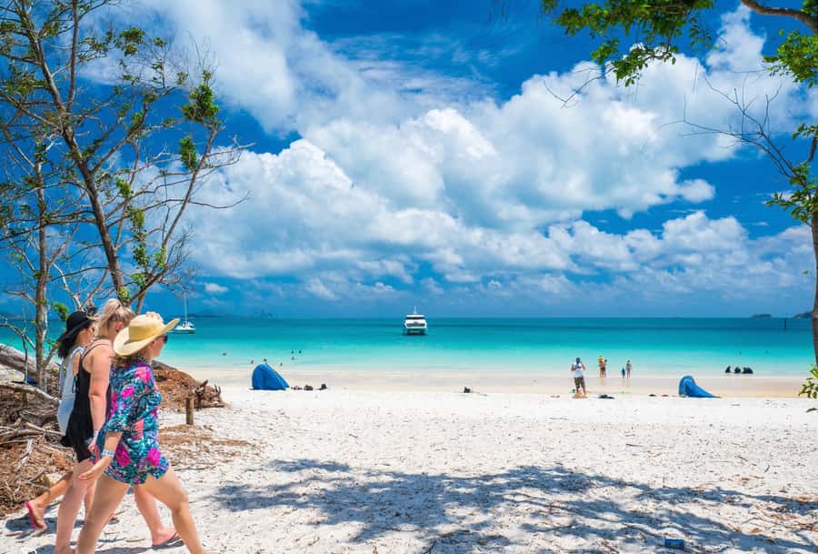 Airlie Beach: Whitehaven Beach Cruise and Hill Inlet - Why six hours at Whitehaven matters